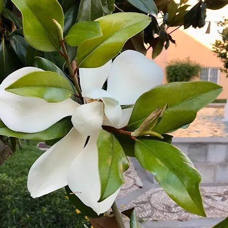 公寓 Elviria Gardens 马尔韦利亚