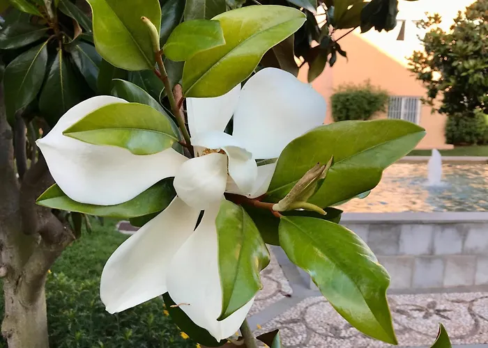 Apartament Elviria Gardens Marbella